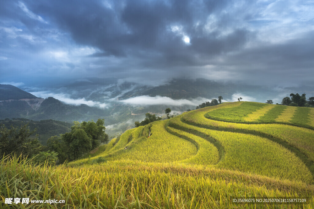 山間梯田美景