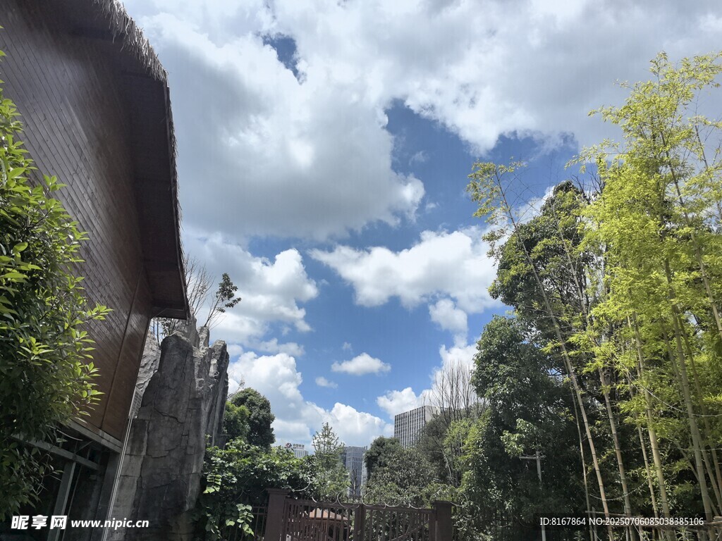 藍(lán)天白云下的林間景致