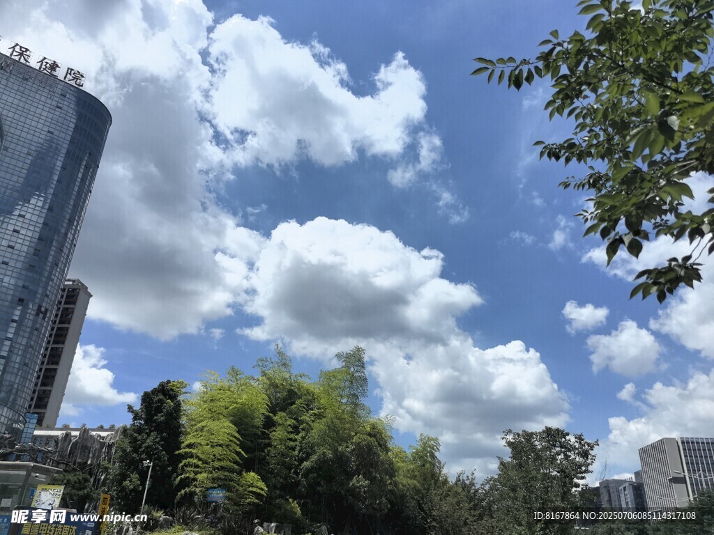 城市藍天綠樹風景圖