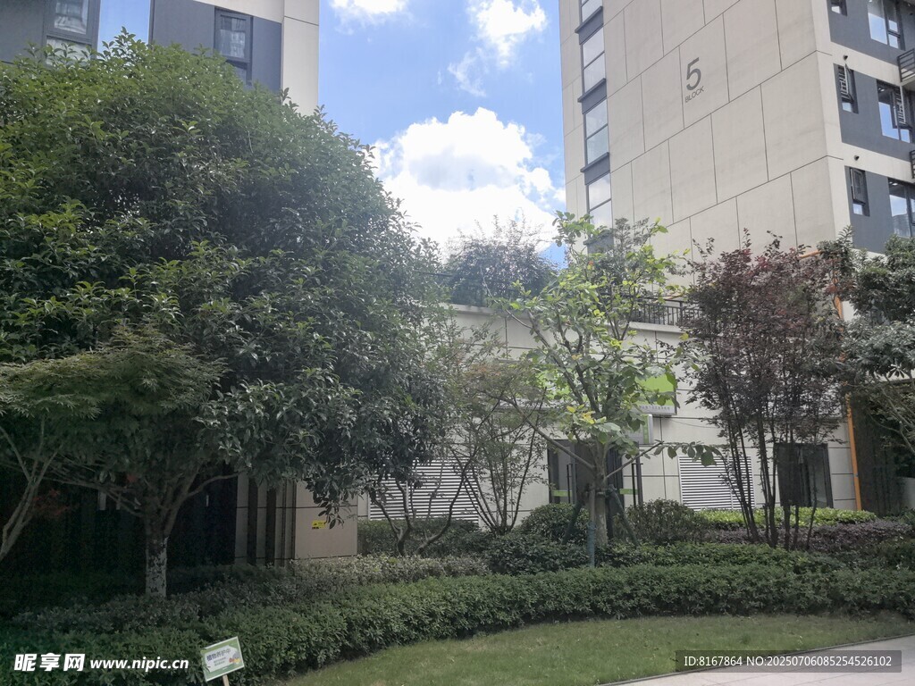 小區(qū)綠化景觀一角