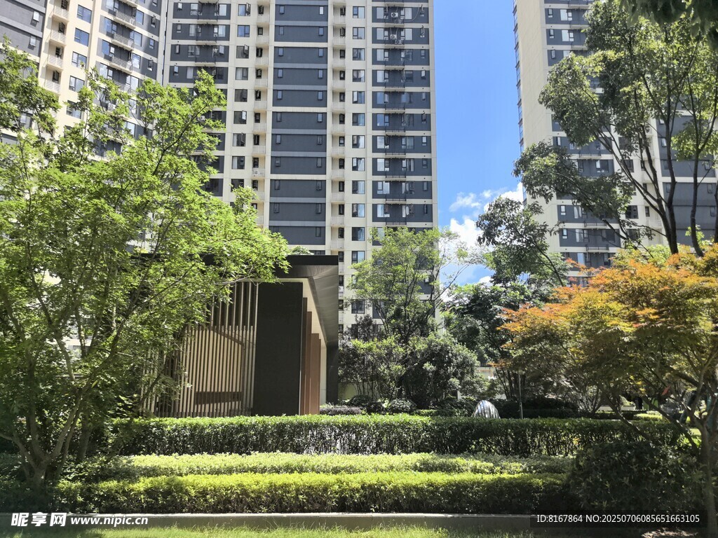 都市中的綠植景觀
