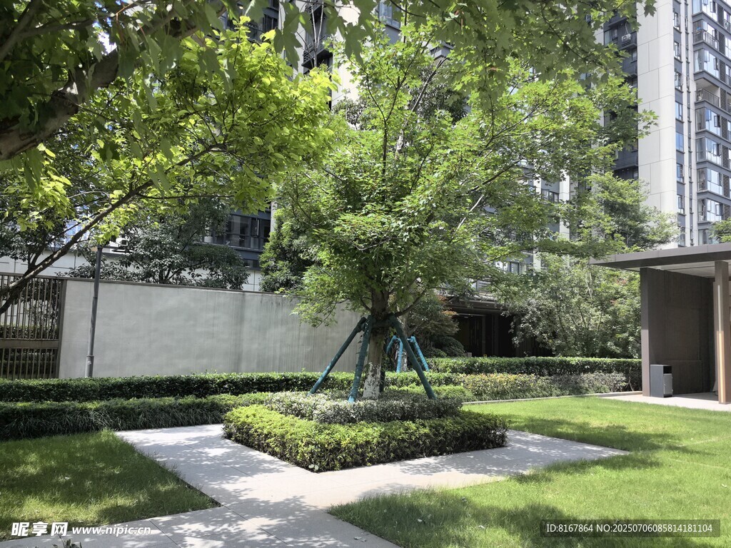 都市中的靜謐綠植景觀