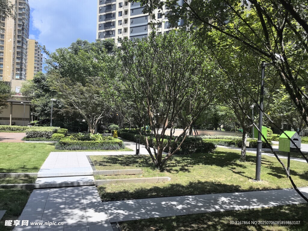 城市中的靜謐林蔭綠地