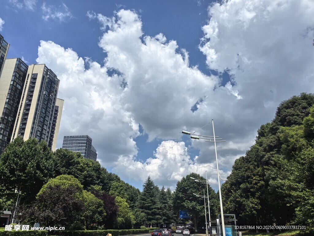 城市綠蔭間的藍天白云