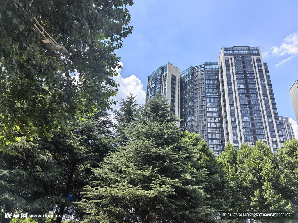 綠樹掩映下的高層住宅