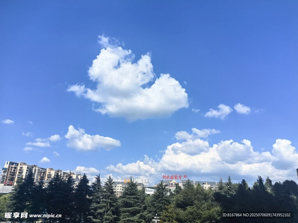 藍(lán)天白云下的蔥郁樹林