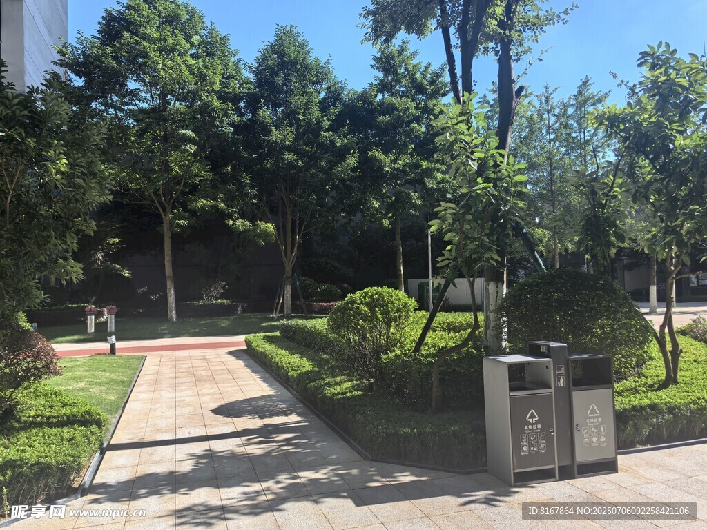 城市中的靜謐林蔭小道