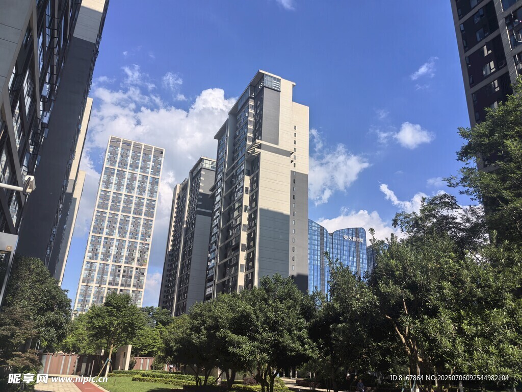 城市高樓與綠樹相映成景