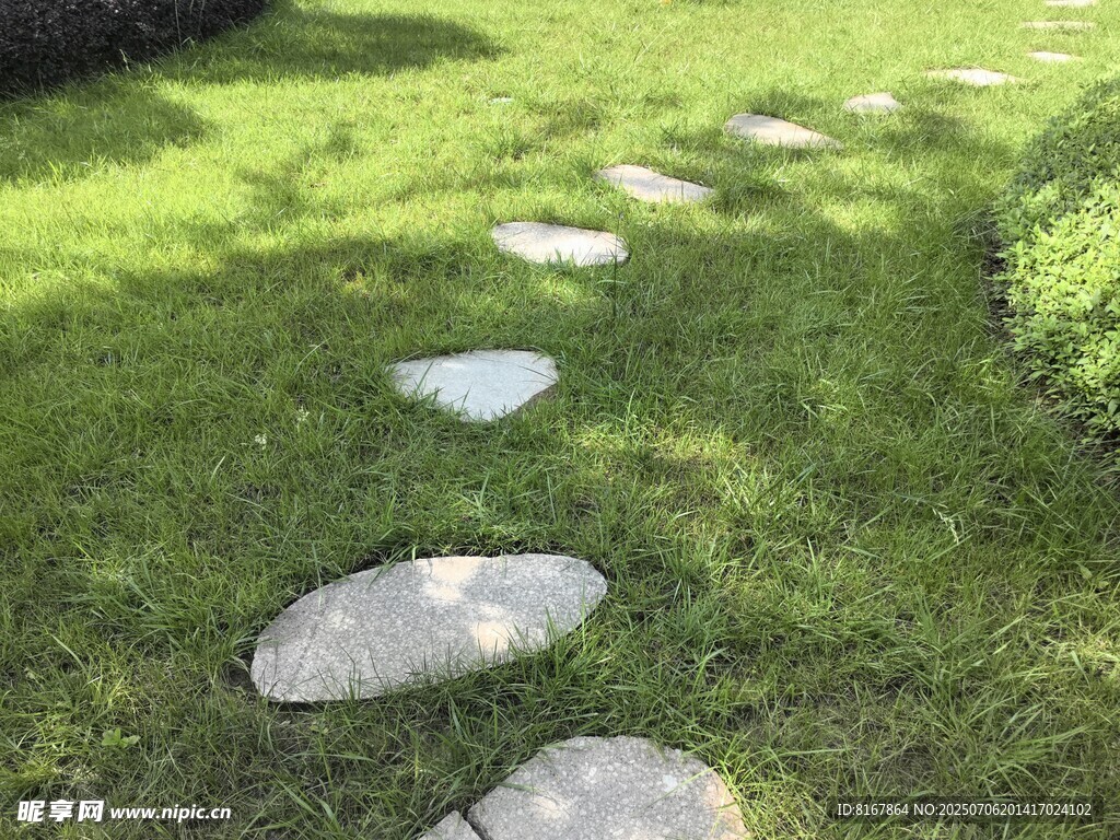 草地中的石板小徑