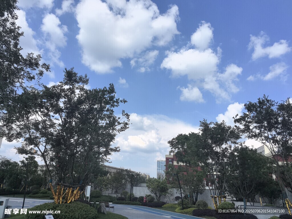 藍(lán)天白云下的林蔭道路