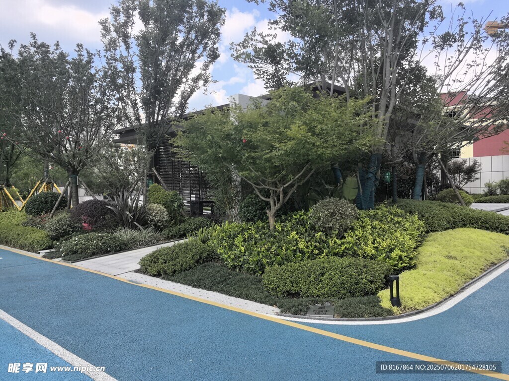 藍色道路旁的綠植景觀
