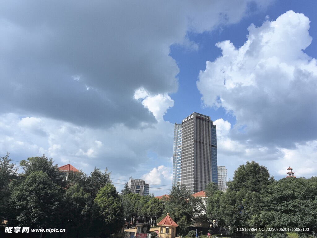 城市中高聳于綠樹間的大廈