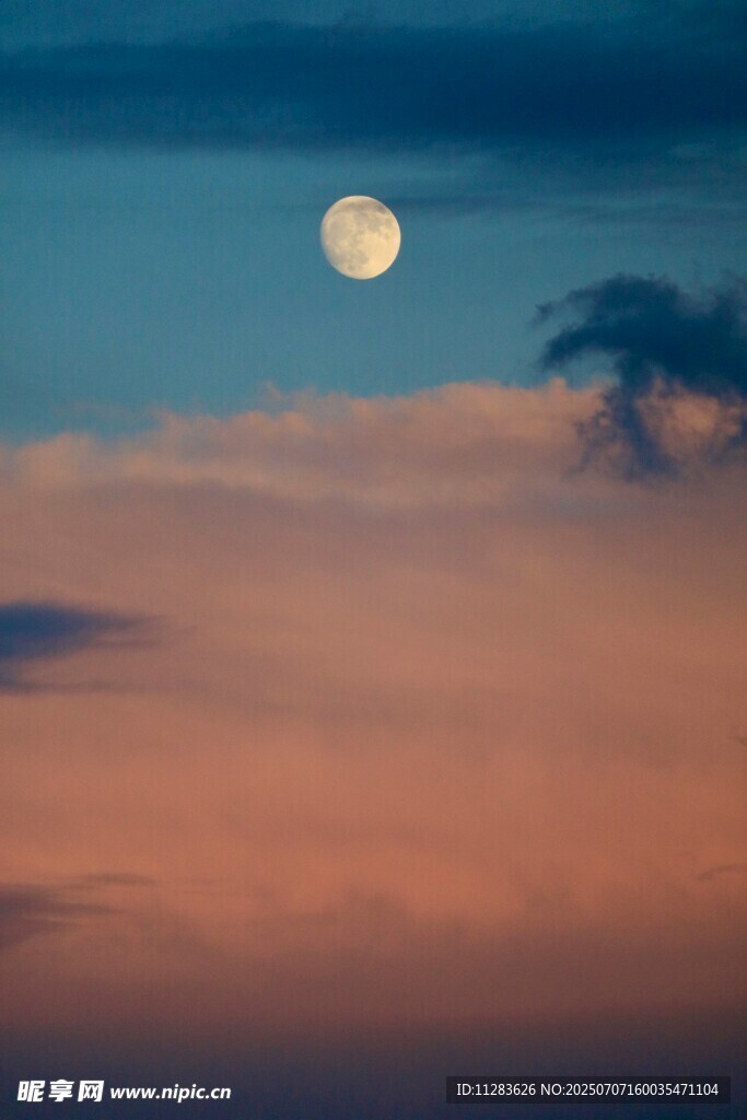 夜幕中高懸的皎潔明月