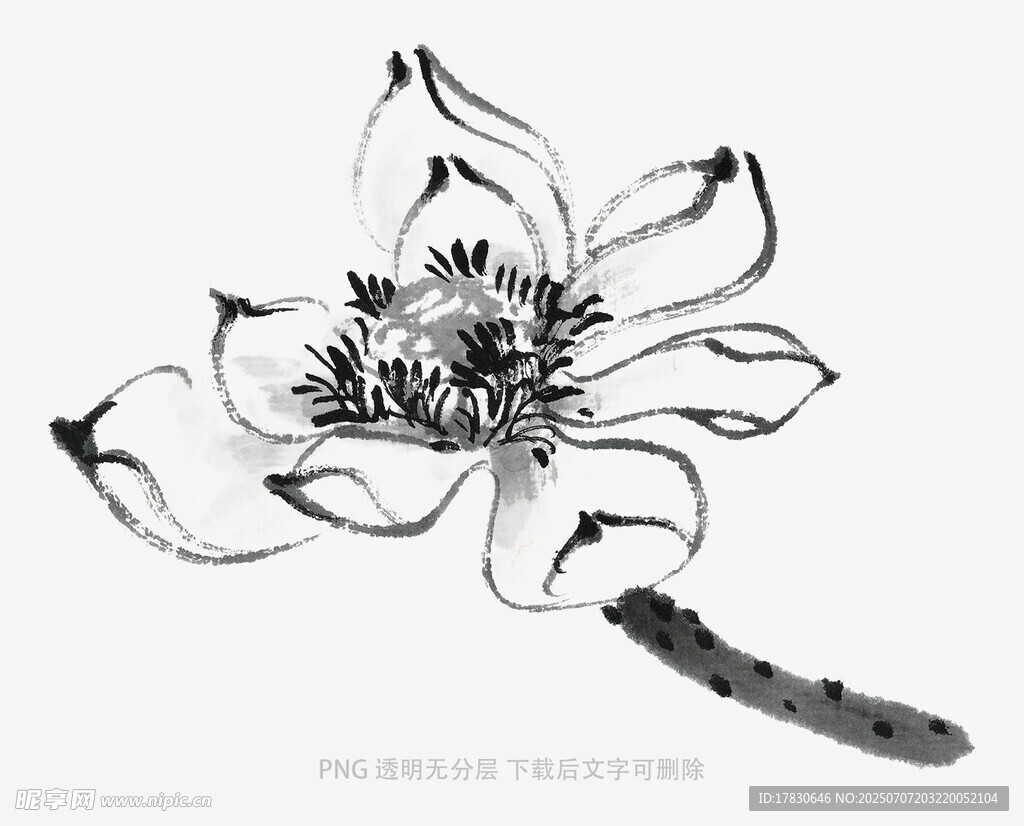 水墨荷花圖