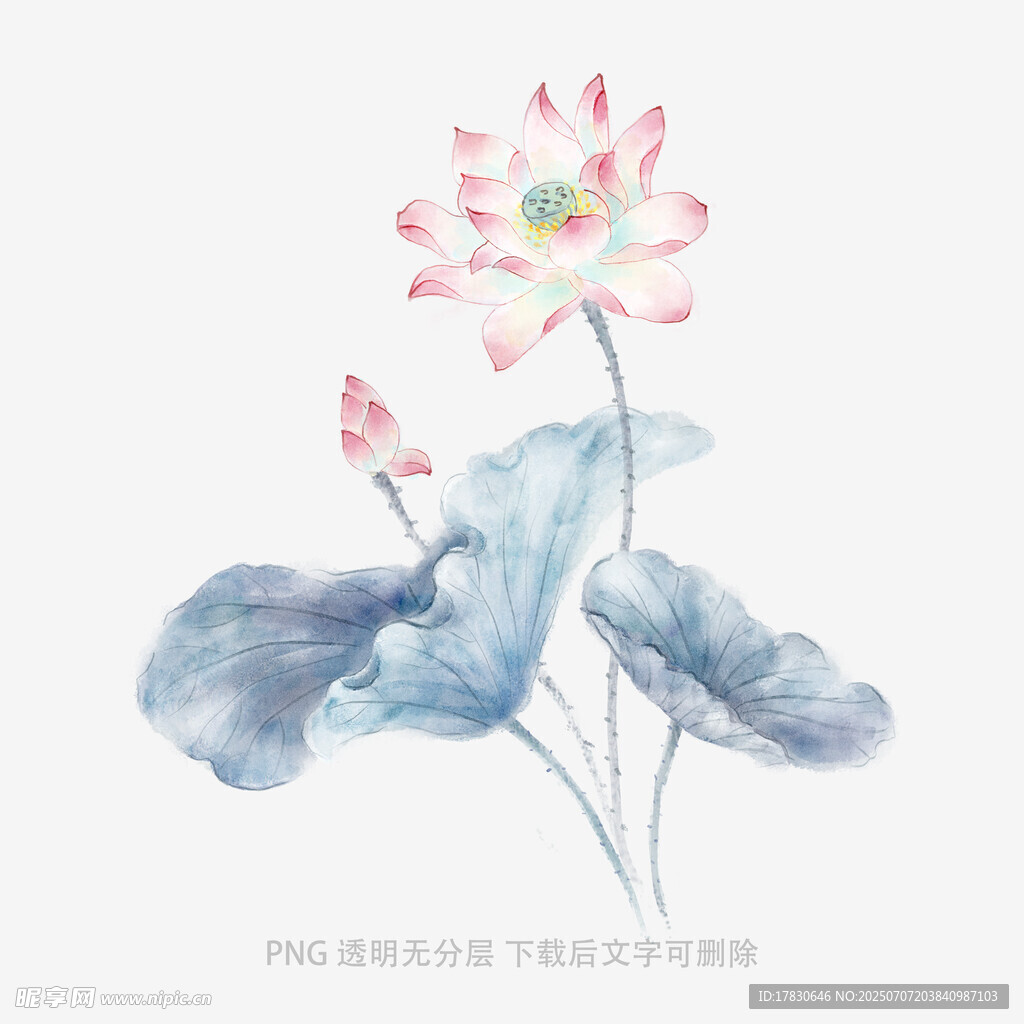 水墨荷花圖