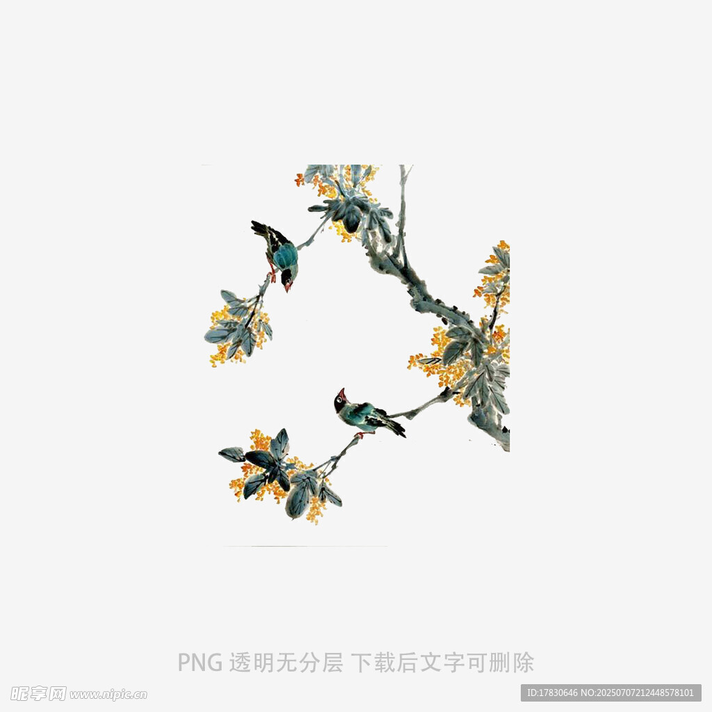 中式手繪花鳥(niǎo)樹(shù)枝圖案
