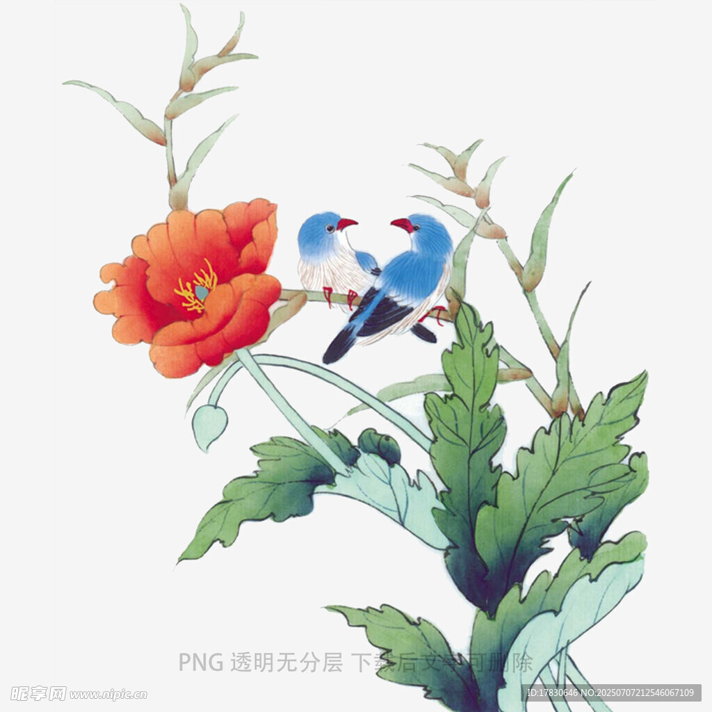 花鳥(niǎo)
