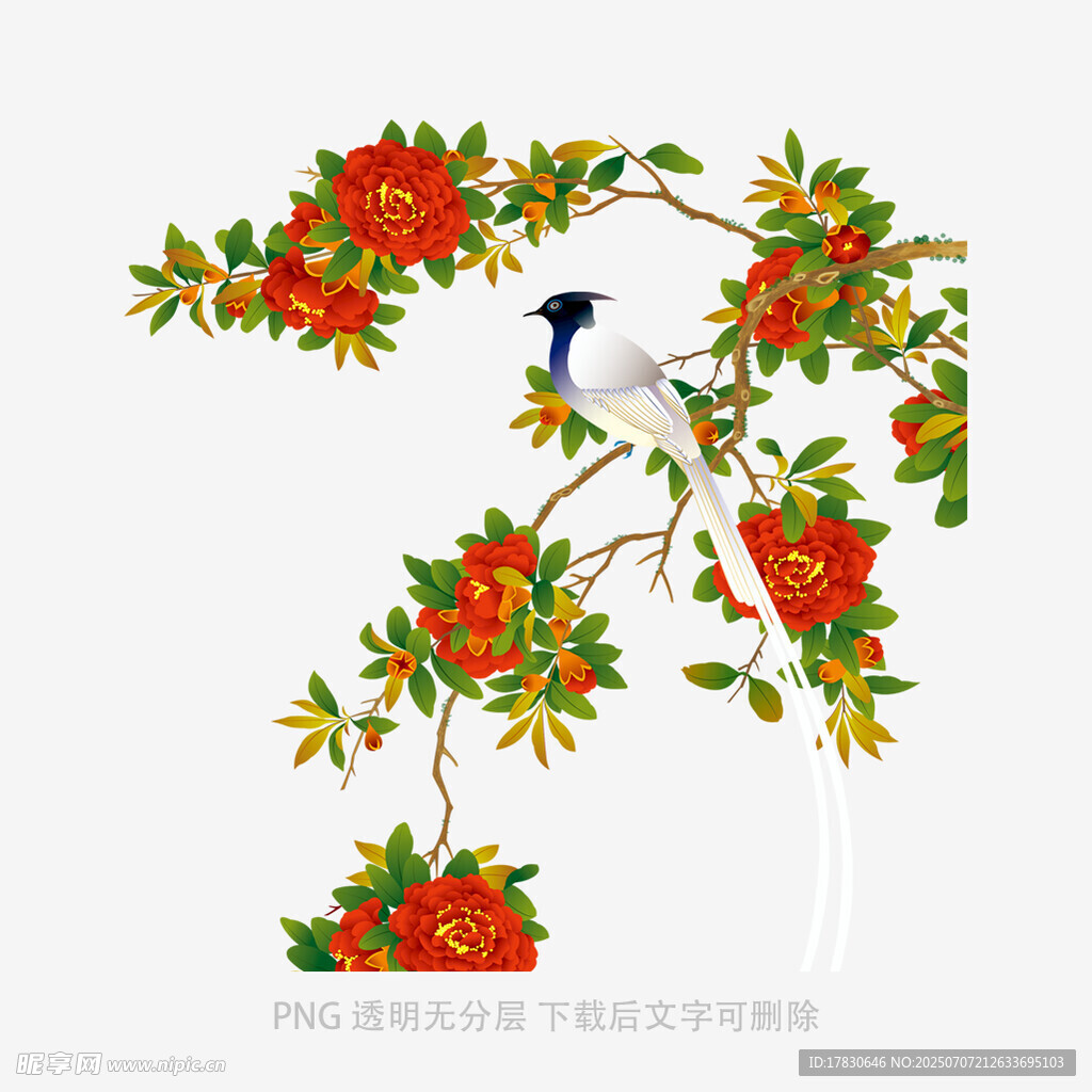 花鳥