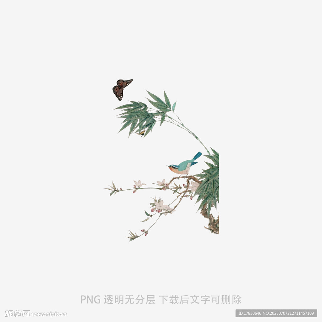 水墨風(fēng)花鳥枝葉插畫