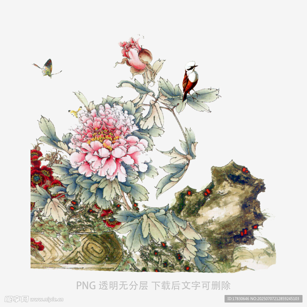 花鳥