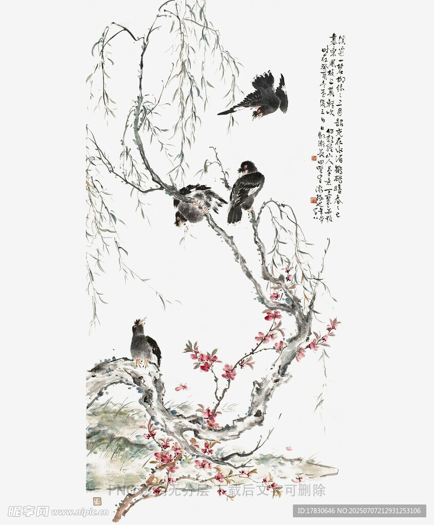 花鳥