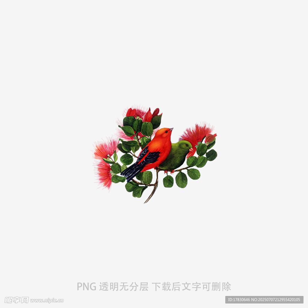 多彩鳥兒棲于繁花枝頭