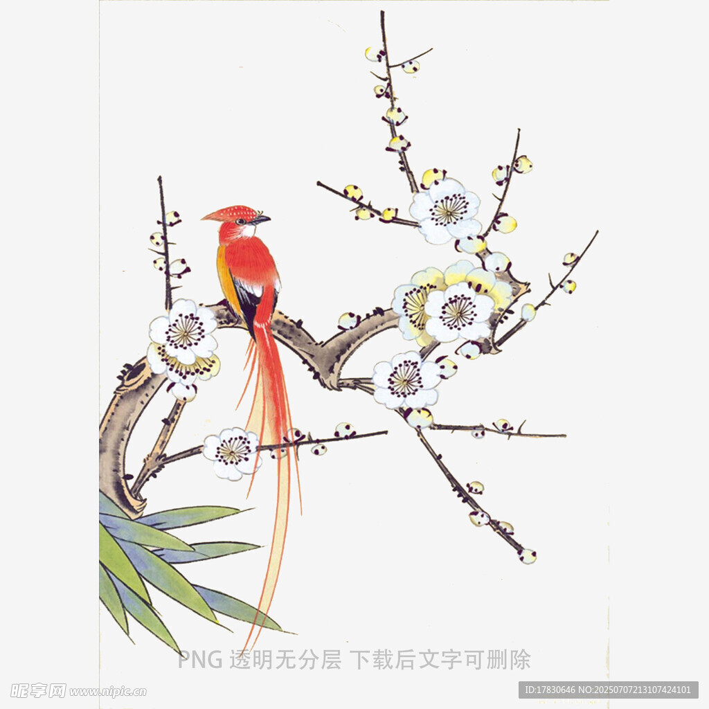 枝頭紅鳥圖