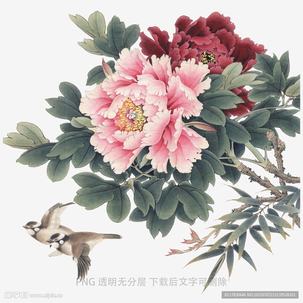 國畫牡丹小鳥圖