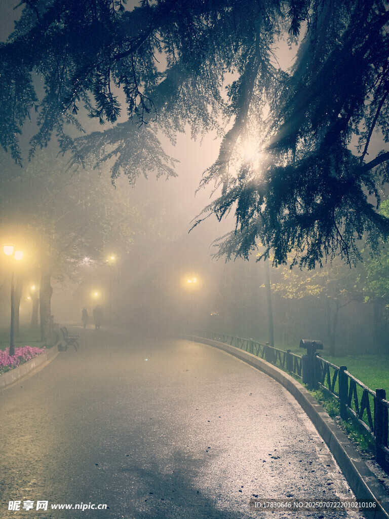 霧氣風(fēng)光圖