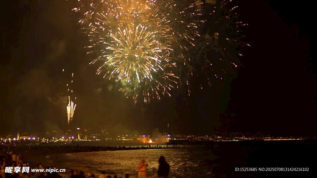 夜空中絢爛的海邊煙花秀
