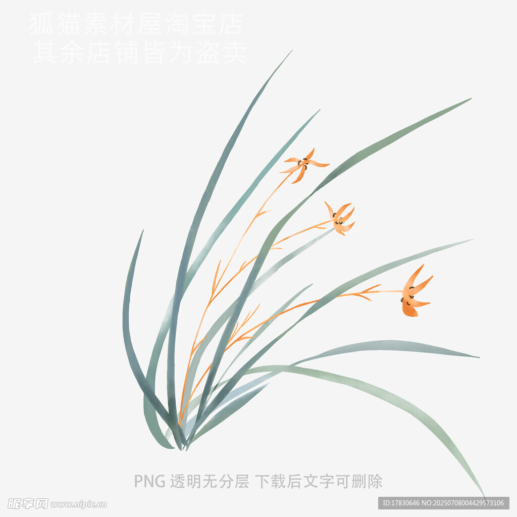 蘭花