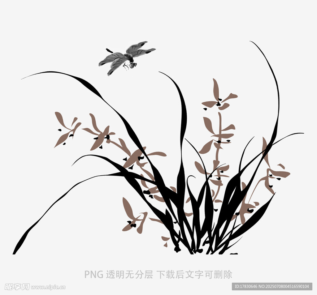 蘭花