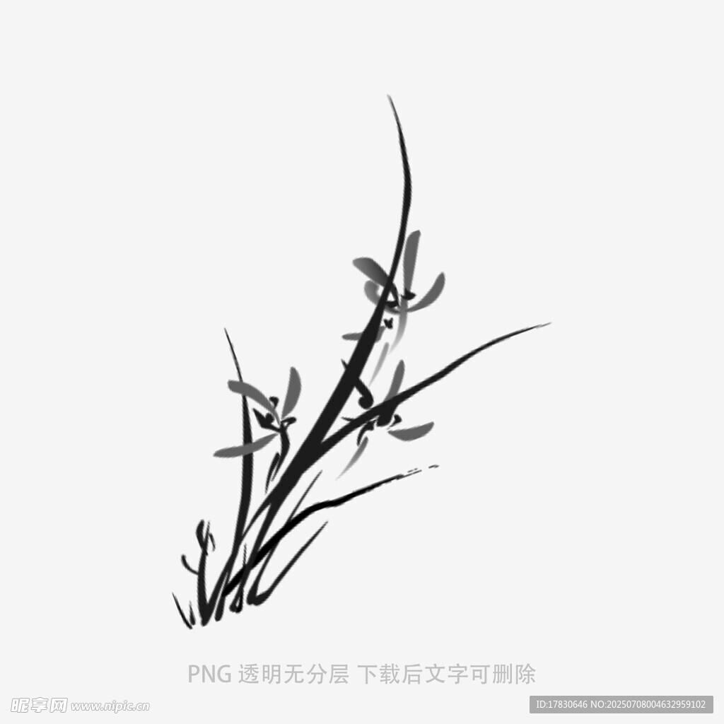 蘭花