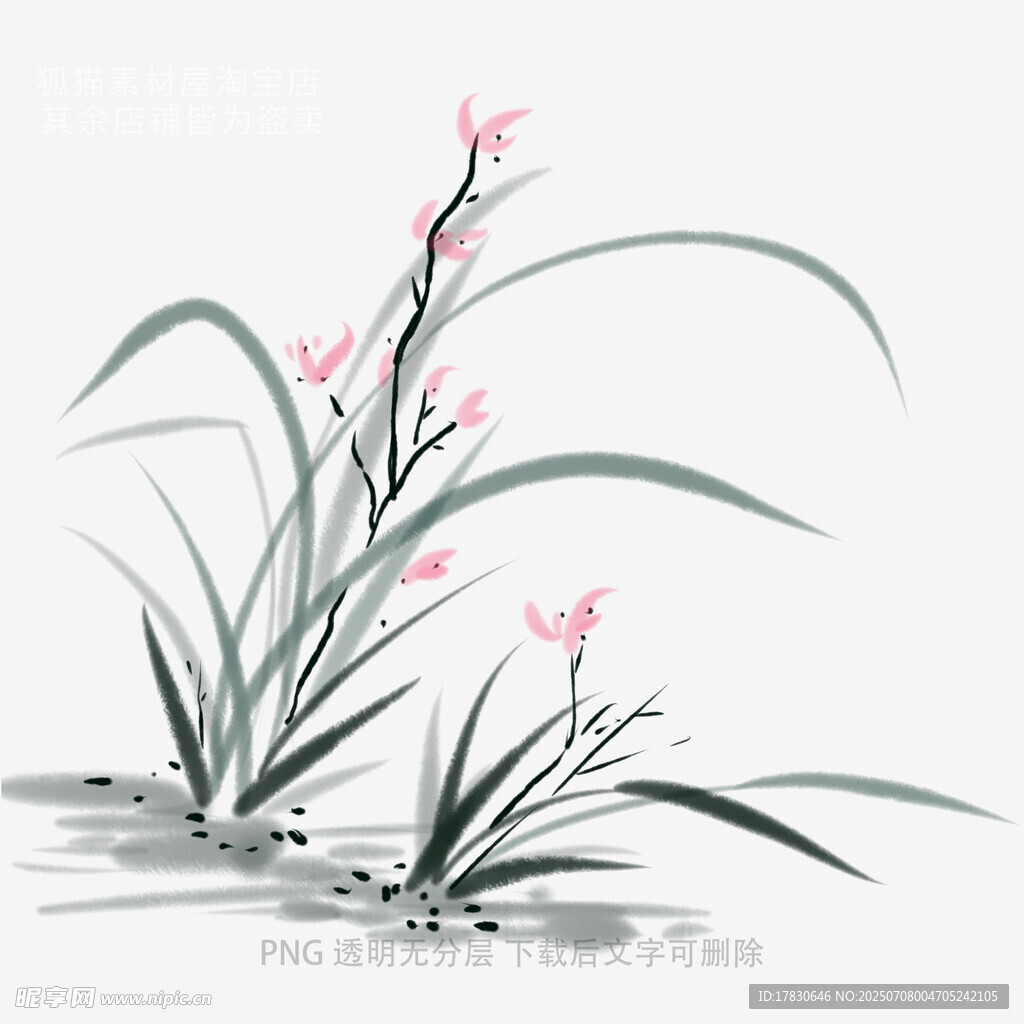 蘭花