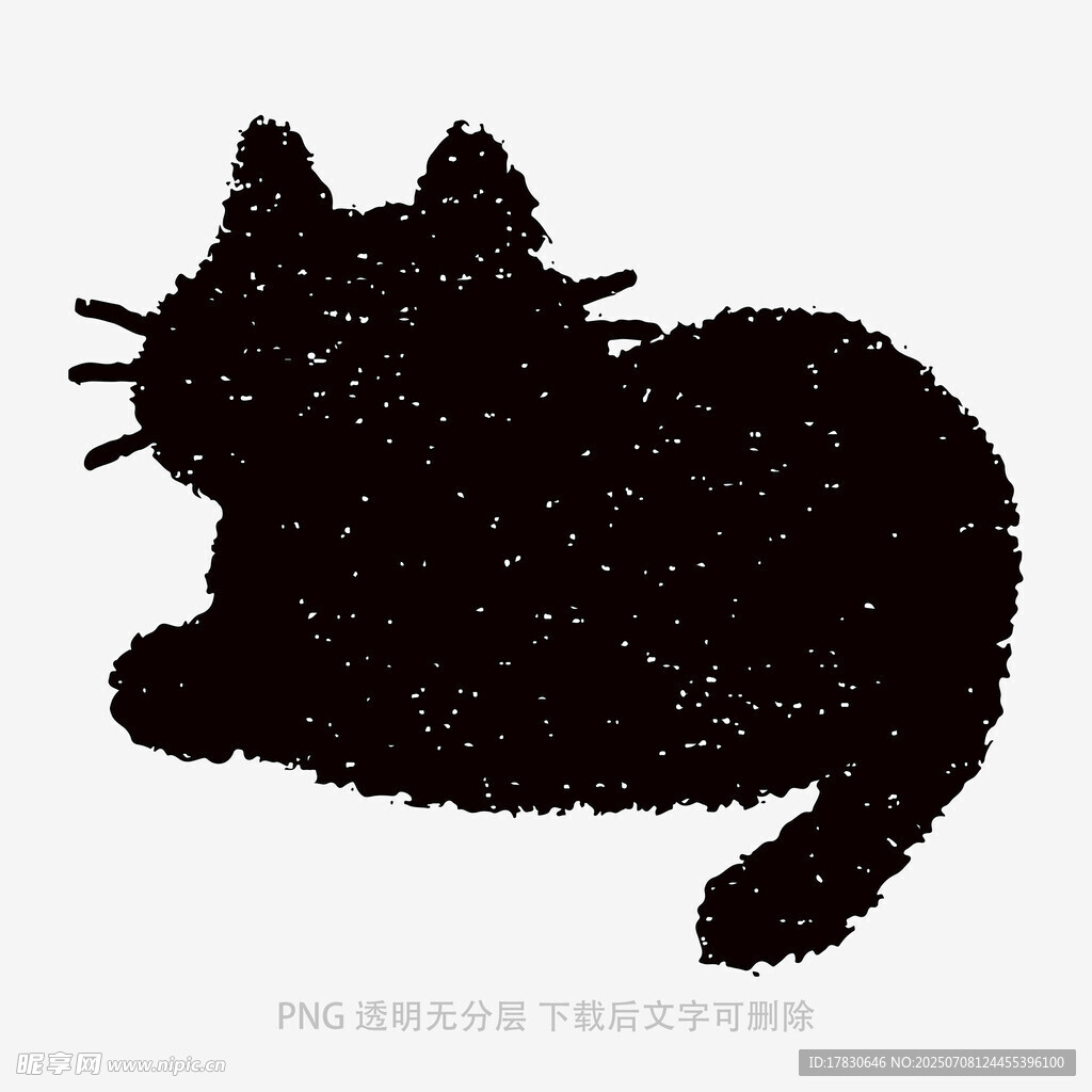貓咪