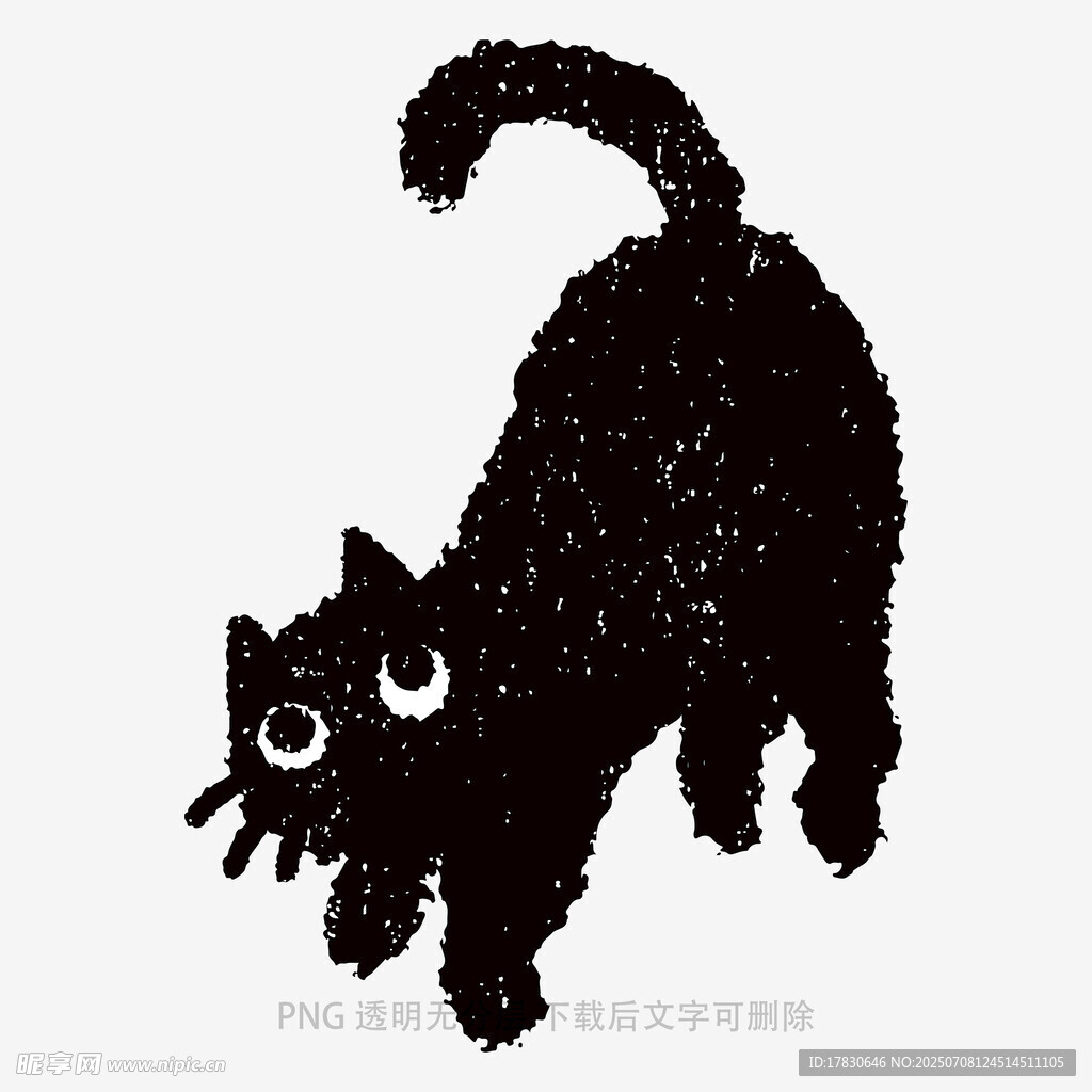 貓咪