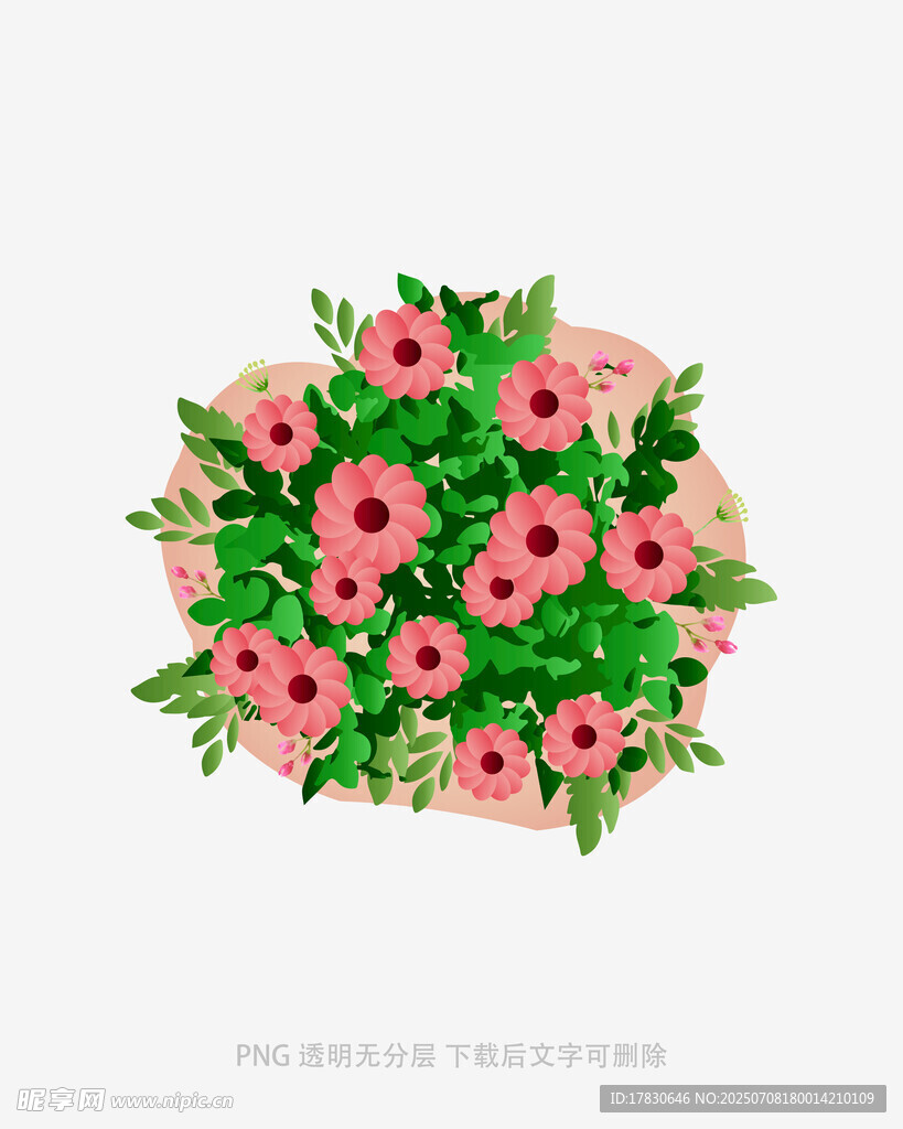 粉色花卉組合裝飾圖案