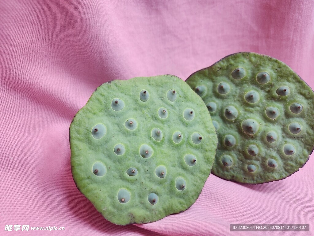 綠色蓮蓬特寫