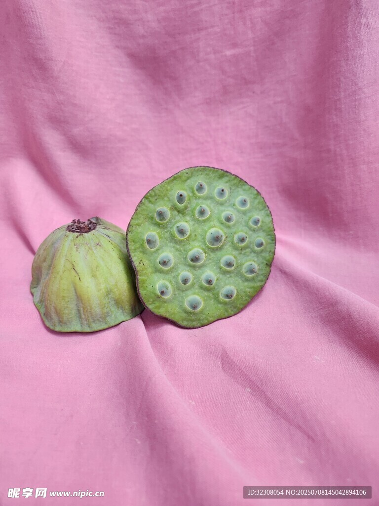 新鮮蓮蓬特寫