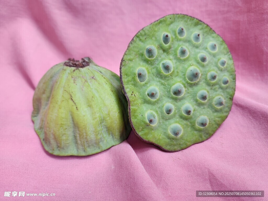 新鮮蓮蓬 