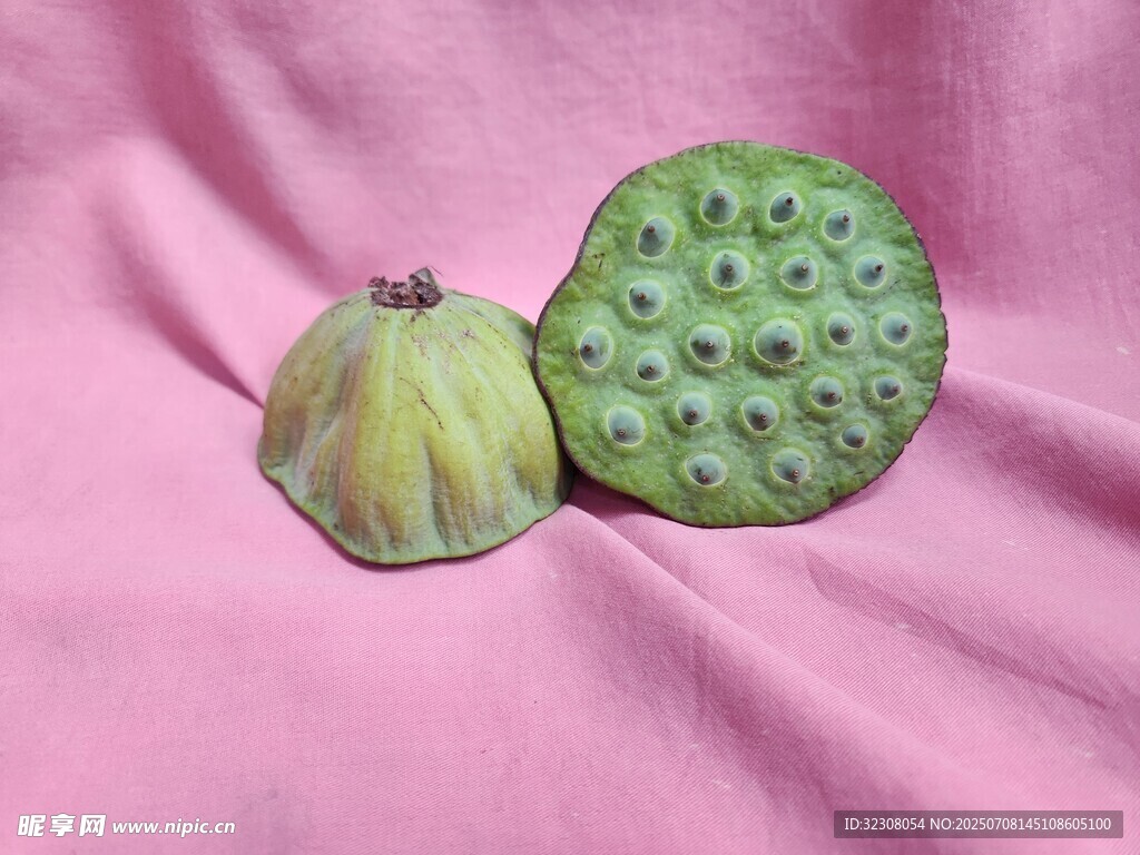 新鮮蓮蓬