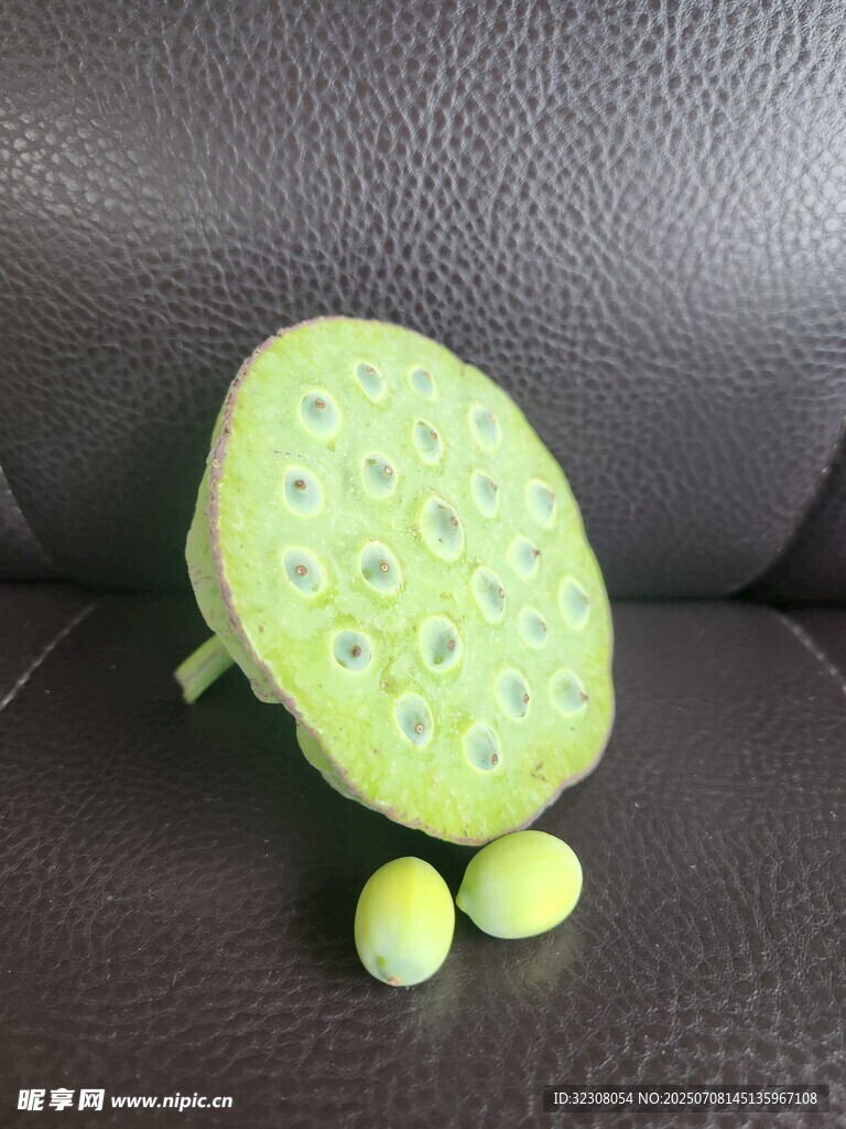 綠色蓮蓬玩偶及蓮子