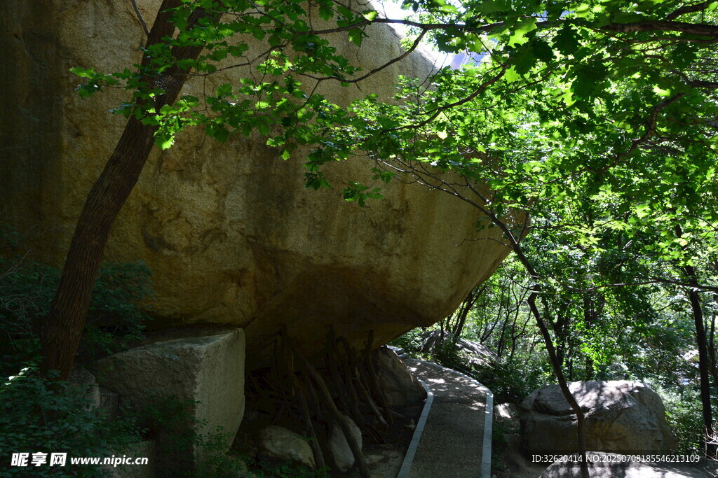 綠蔭下的巖石景觀