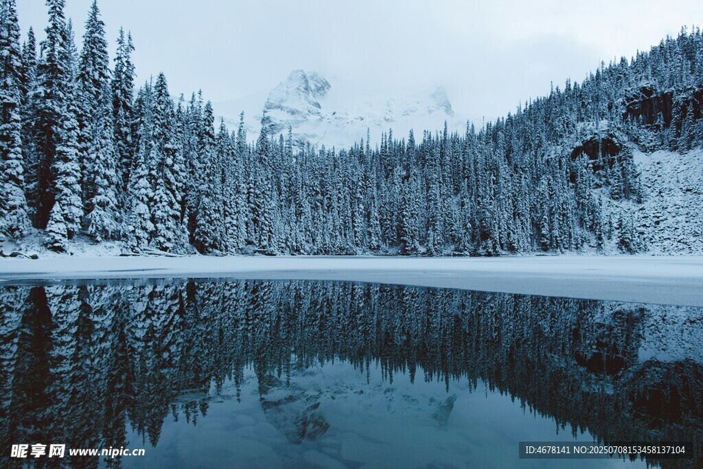 冬日靜謐湖景雪林倒影