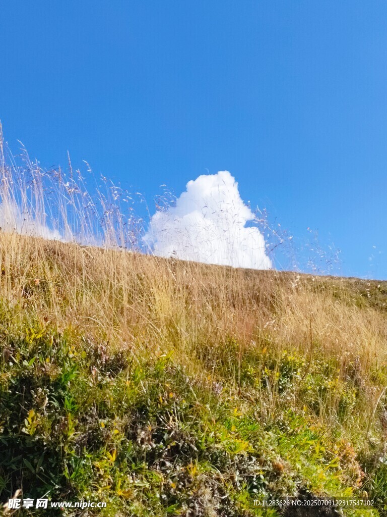 山坡白云
