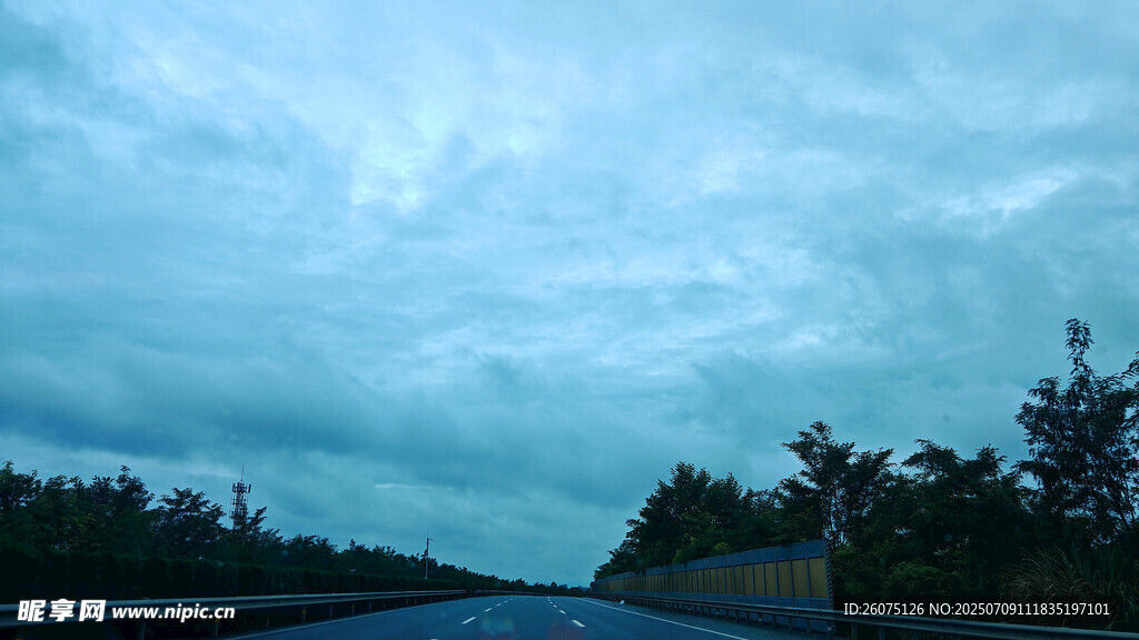 公路上的陰沉天空與樹林