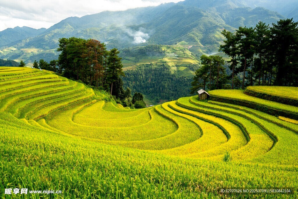 梯田美景