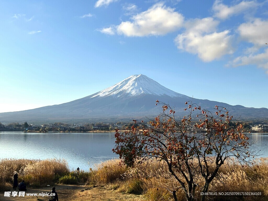 富士山下湖畔美景