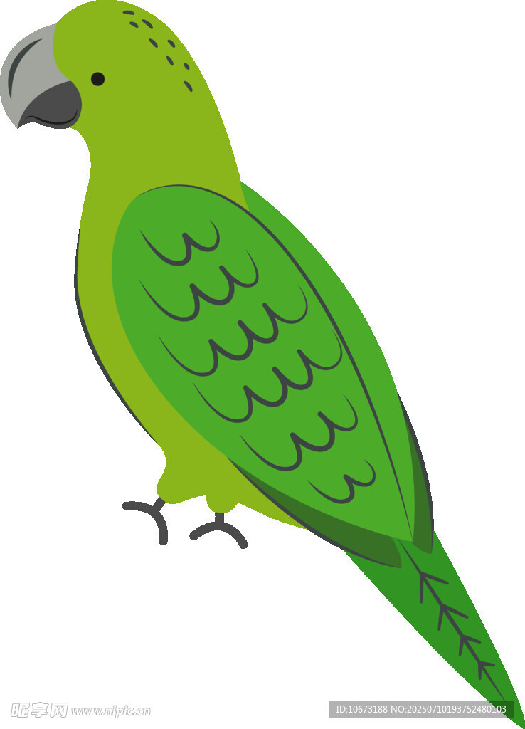 綠色鸚鵡插畫
