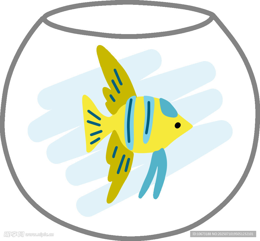 魚缸中的彩色小魚